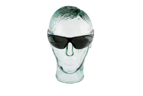 KA.EF. SchutzBrille View - schwarz mit SunBlendSchutz